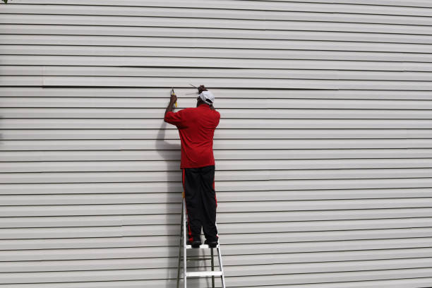 Best Vinyl Siding Installation  in Jamestown, KY